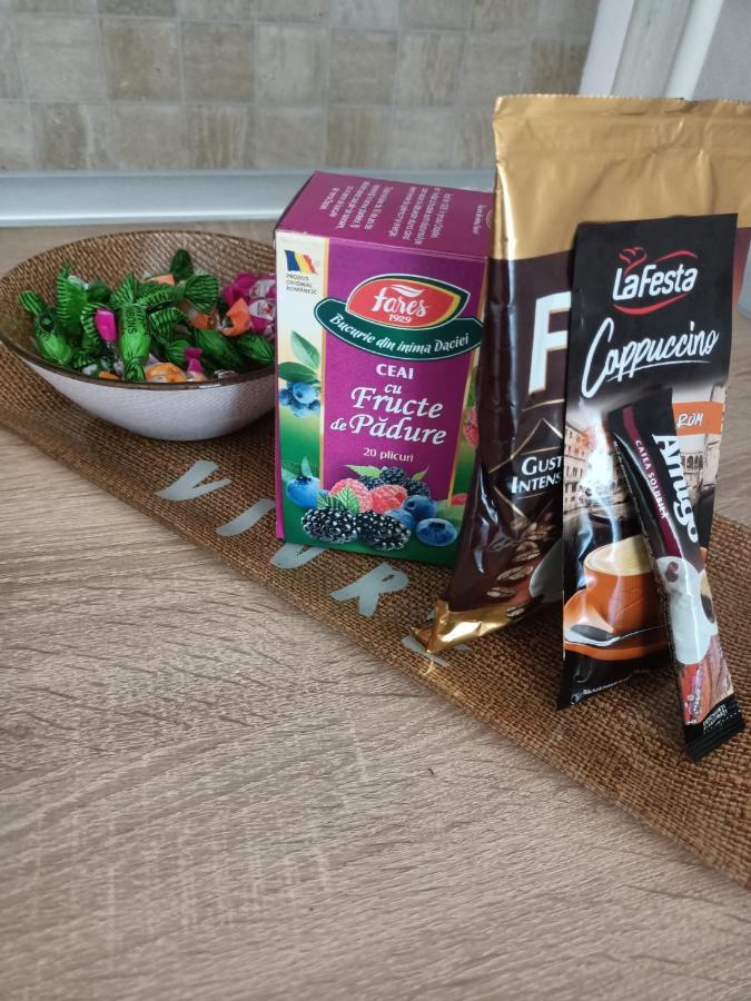 Cozy Apartament Timişoara